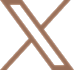 Stylized letter X logo on black background